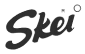 domaindotin client - skei - Digital Marketing
