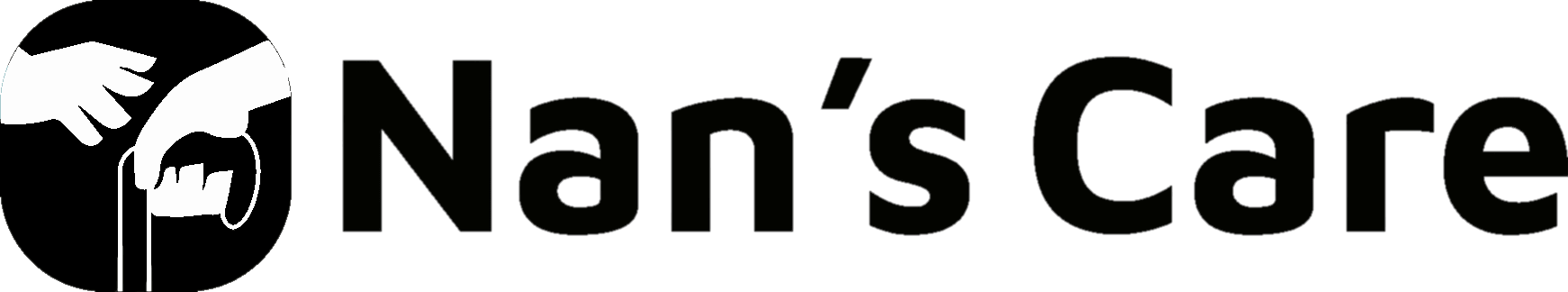 logo of nan's care - our digital marketing client