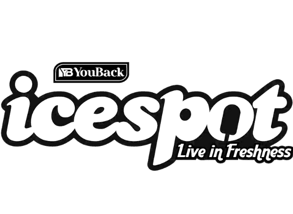 icespot-logo-domaindotin-digital marketing company in kerala