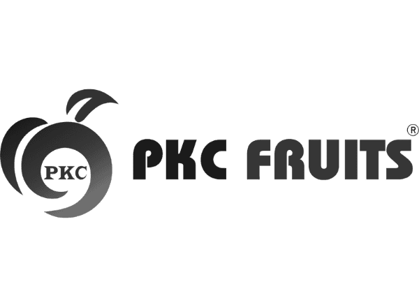 Pkc fruits logo - domaindotin- digital marketing company in kerala